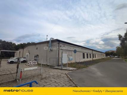 Hala 2409 m - Produkcja i magazyny - 250 Kw