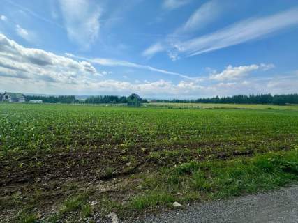 Złoty Widok na Twoją Przyszłość 1800 m2 Słupice