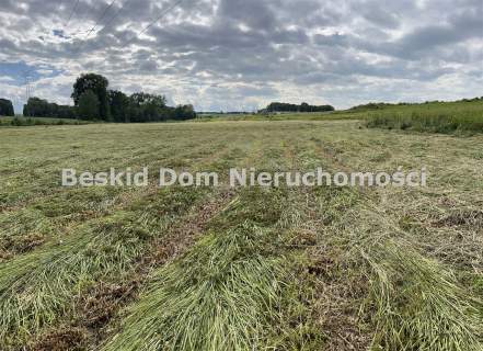 Działka inwestycyjna na sprzedaż, 12600 m2, Międzyrzecze Dolne