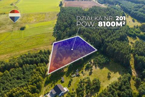 Działka leśna pow. 29.600 m , Bukowina Sycowska