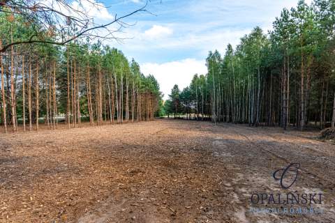 Działki przy Lesie WZ Zieleń Cisza Klimat