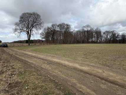 Działka budowlana na sprzedaż, 19973 m2, Białokury
