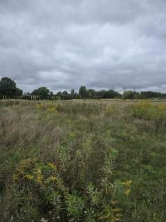 Działka budowlana na sprzedaż, 1601 m2, Pyrzowice