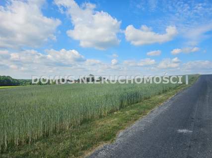 Działka w Tworzyjankach