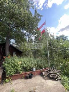 Staw z zagajnikiem na działce budowlanej wydana WZ