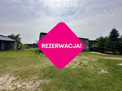 Dom z dużą działką i budynkami gospodarczymi