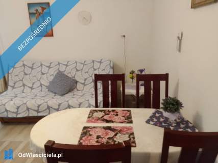 KAWALERKA DO WYNAJĘCIA KRZESZOWICE