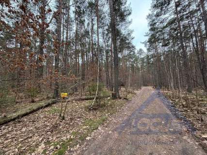 Unikatowa działka w sercu Magdalenki, ul. Grabowa