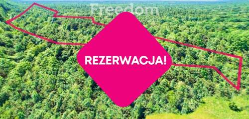 Działka/17 HA/Włodawa/Sobibór/Rzeka Bug
