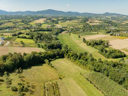 Działka rolno-leśna, 1,56 ha, Sadek, Jodłownik