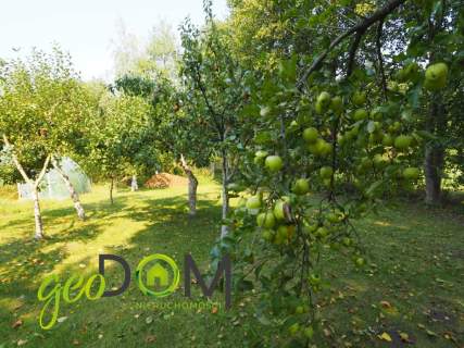 Dom 67 m2 działka 1697 m2 57x30 Jagodne