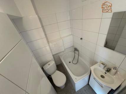 Fołtyn 3, Gołębiów, studio przyjazne dla zwierząt