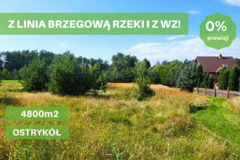 DZIAŁKA Z WŁASNĄ LINIĄ BRZEGOWĄ RZEKI I WARUNKAMI ZABUDOWY