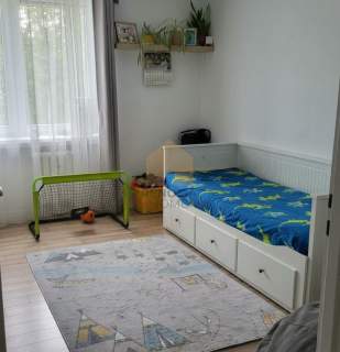 3 pokoje/balkon/piwnica