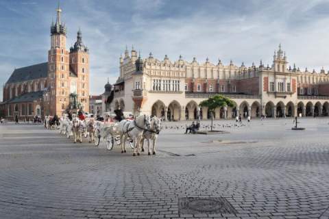 Lokal handlowo-usługowy Stare Miasto