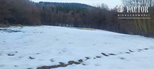Siary, działka budowlano-rolna 0,92 ha, 1177S