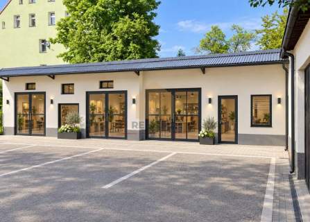Dom 250m2/9pokoi/dokonała inwestycja