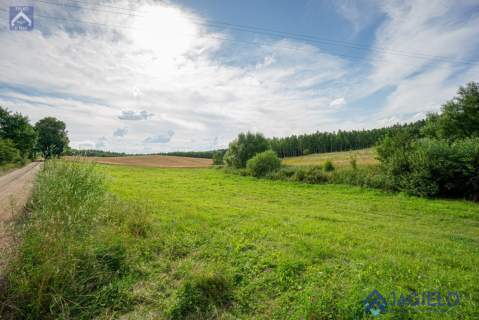 Działka rolna na sprzedaż, 4200 m2, Szczodrowo