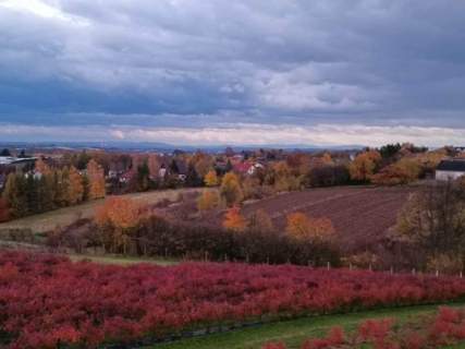 Wyjątkowy dom z Widokiem na Tatry Żerkowice