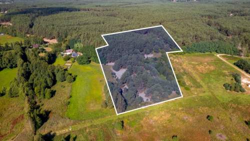 Teren 3,5ha w sercu Puszczy Noteckiej Prywatny las