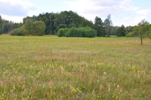Działka siedliskowa na sprzedaż, 5400 m2, Dąbrówka