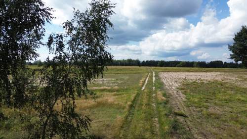 Działka, Wólka Wytycka, 10 ar, budowlana