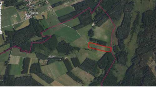 Działka rolna na sprzedaż, 25000 m2, Pilchy