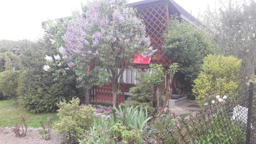 Działka w ROD
