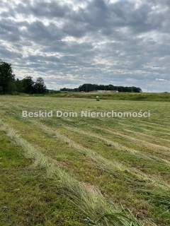 Działka inwestycyjna na sprzedaż, 12600 m2, Międzyrzecze Dolne
