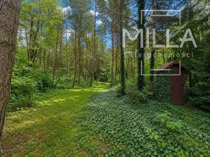 Leśne siedlisko z domkiem 2361m2 Gmina Zgierz