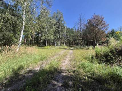 Działka budowlana na sprzedaż, 8221 m2, Bieganów