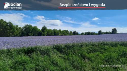 Kompleks uzbrojonych działek na granicy Przodkowa