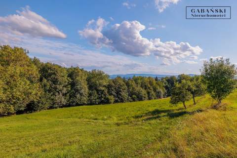 DREWNIANY DOM PO GRUNTOWNYM REMONCIE NA 1,35 HA -