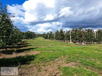 Działka na sprzedaż, 68500 m2, Rawa Mazowiecka