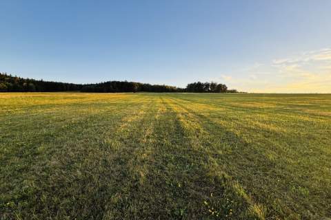 Działka 99a, rol-bud, Smerekowiec, Uście Gorlickie