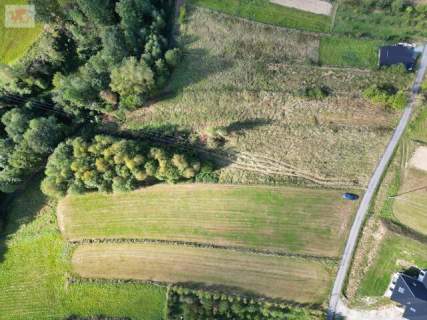 Działka z częścią budowlaną Tenczyn 3503 m2 gm. Lubień