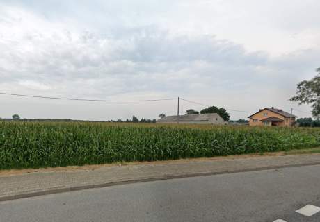 Działka rolna o pow. 2800m2, gm. Rychwał