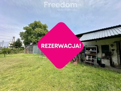 Dom z dużą działką i budynkami gospodarczymi