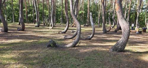 2-pokojowe mieszkanie Nowe Czarnowo, 2 km od Gryfina