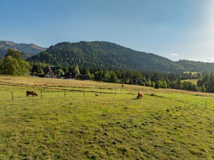 Działka rolna 3115 m Kościelisko