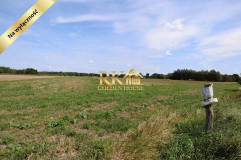 Działka rolna 0.43 ha Dobrzanów gm. Skórzec