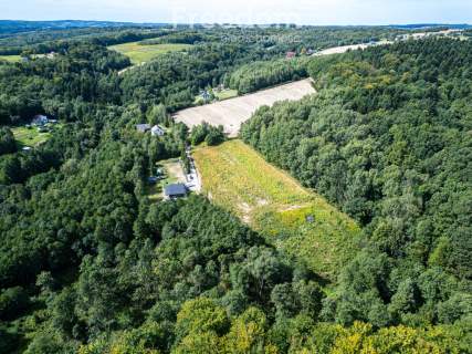 Widokowa działka 1,09 ha pod lasem   Nawsie, cisza