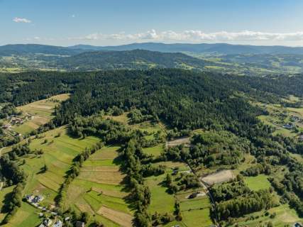 Działka leśna 20 700 m Kasina Wielka