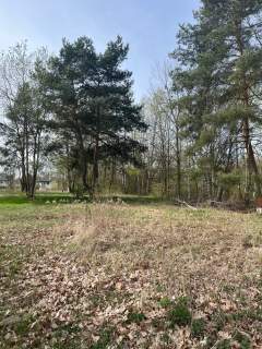 SPRZEDAM ŁADNĄ DZIAŁKĘ 1500M2 30X50M OKAZYJNA CENA