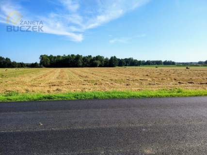 Sprzedam ziemię rolną 9,867 ha w Januszewie