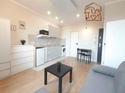 Studio w centrum, pet-friendly - Cmentarna 26