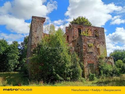 Ruiny Willi i Pałacu w Starej Kraśnicy 2,8 ha