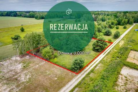 Działka 3000 m z potencjałem inwestycyjnym   Bory