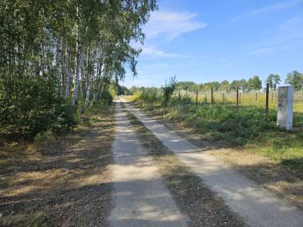 Działka budowlana z lasem , prąd, woda, gaz