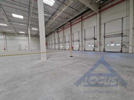 Magazyn wysokiego składowania 2500m2 Ołtarzew